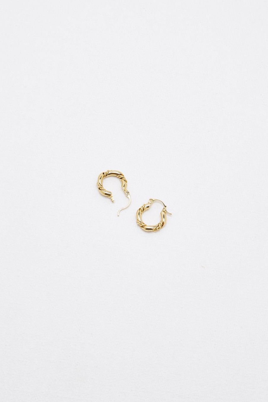 Women The Editor's Market Earrings | Dani Hoop Earrings Gold