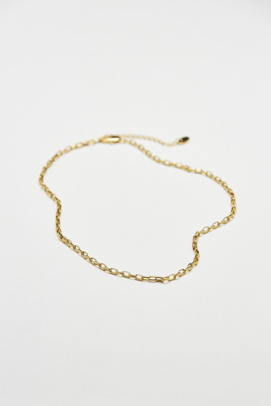 Women The Editor's Market Necklaces | Danelly Necklace Gold